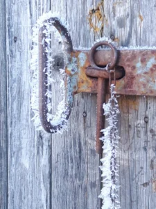 Burk med skivade inlagda rödbetor från Fristorps gård.
